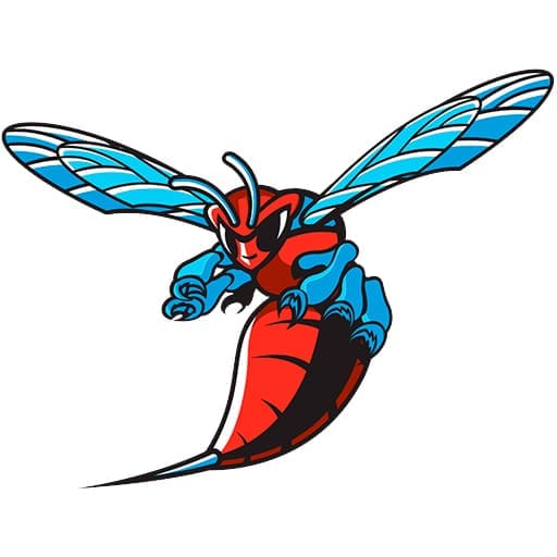 Delaware State Hornets Schedule 2026–2027