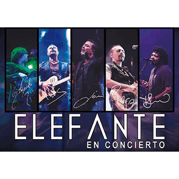 Elefante Concerts in Washington DC