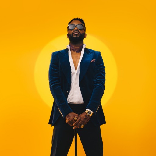 Fally Ipupa Concerts in Washington DC