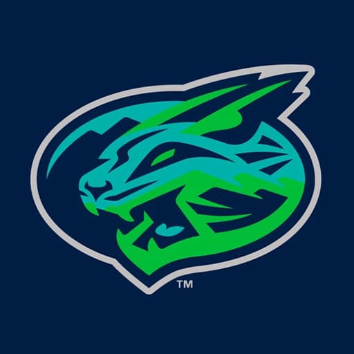 Lynchburg Hillcats Schedule 2026–2027