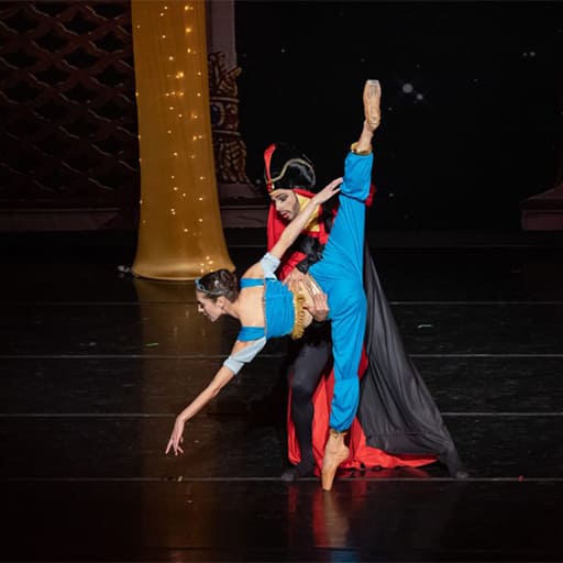 Virginia National Ballet Tickets in Washington DC