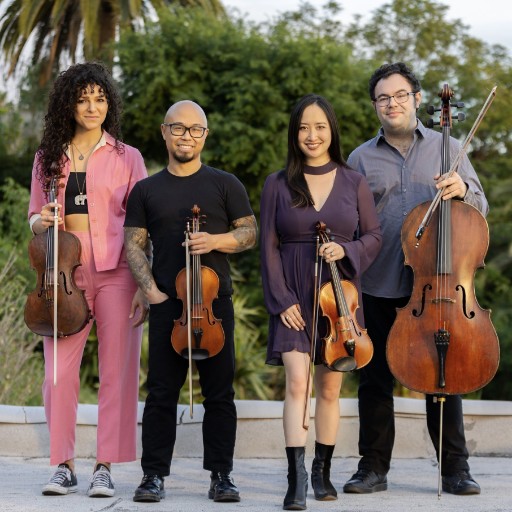 Vitamin String Quartet Concerts in Washington